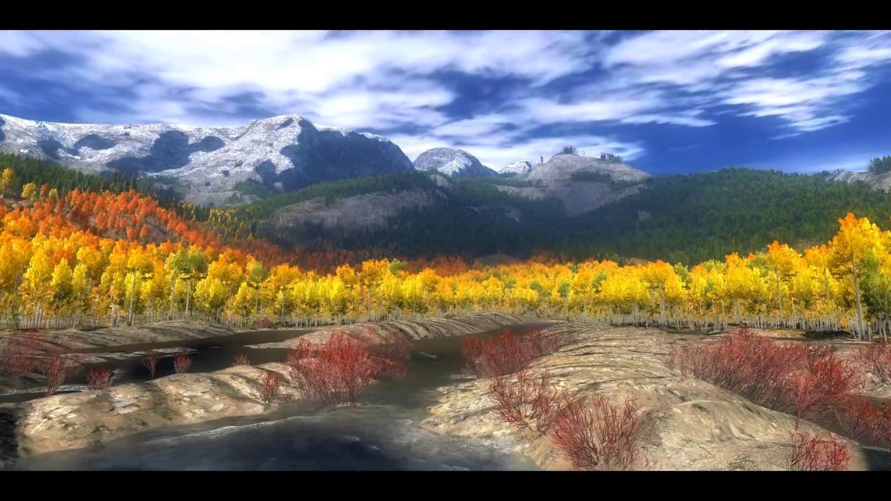 SHOWDOWN SIGHT - theHunter's biggest video montage