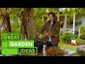How to Grow Hydrangeas | GARDEN | Great Home Ideas