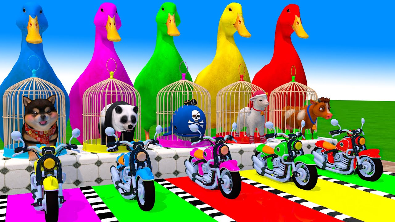 Long Slide Game With Cow Elephant Gorilla Hippopotamus Tiger - 3d Animal Game - Funny 3d Animals