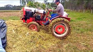 Agrale fazendo silagem e compactando !!! by Rancho Leguminoso 13,638 views 1 year ago 3 minutes, 3 seconds