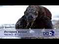 История жизни - Части 3-5 - Документальный фильм