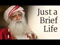 Just a brief life  sadhguru