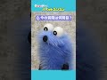 ＃パペットスンスン のモーニングルーティンは？水飲み休憩も ～30問30答に挑戦～