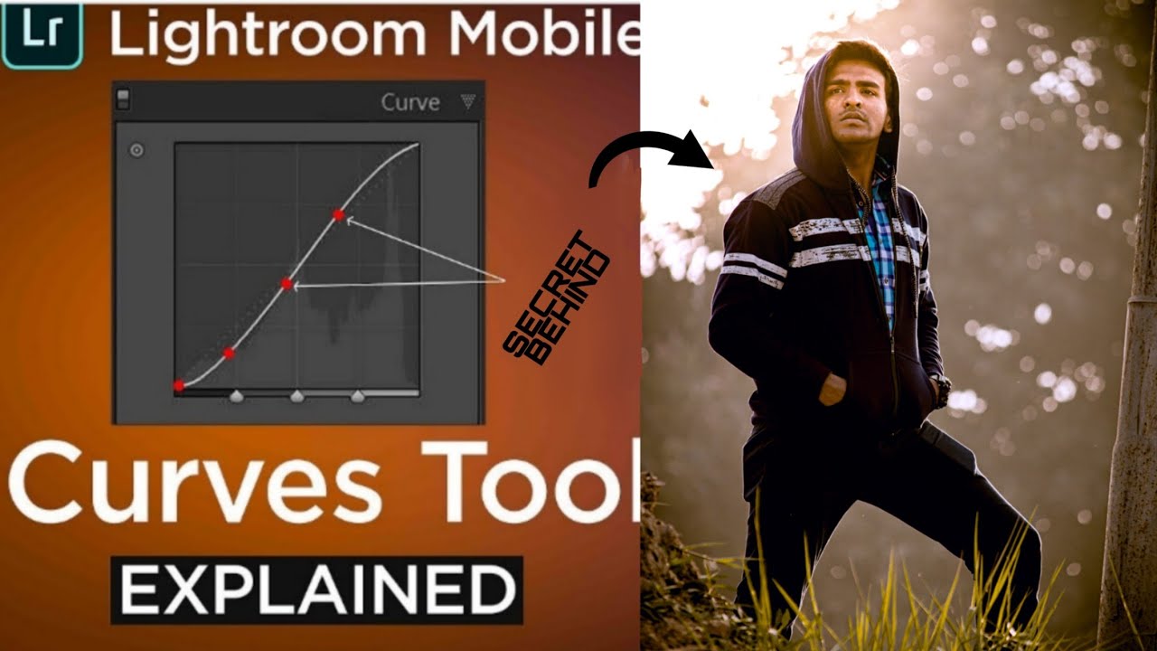 Lightroom Curves Tool Details explained in hindi - How to ...