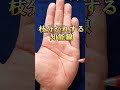 【手相】枝分かれする知能線