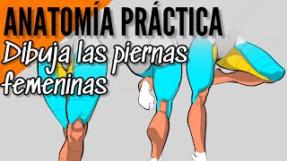 Anatomia humana / cómo dibujar las piernas femeninas / tutorial de dibujo / female drawing #anatomia