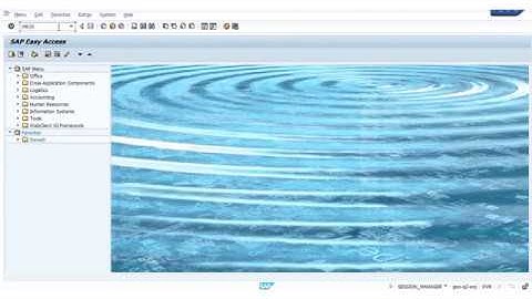 How to transfer Material from sales order to own in SAP