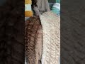 The ombré design on all of these is stunning 🥰 Comfrt #comfrt #comfrtdreamerblanket #dreamerblanket