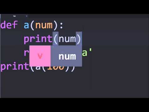 Python & Ruby - 함수 4 : 입력값