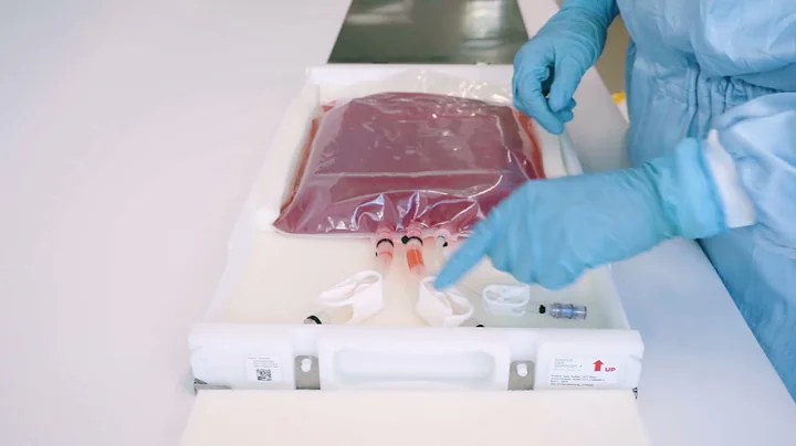 Instructions for Use: Saint-Gobain Cold Storage Bag with RoSS® Shell