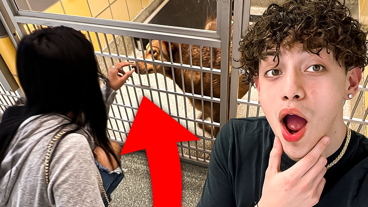I TOOK HER AN ANIMAL SHELTER 🥺 (emotional)