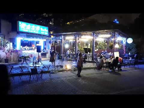 葉璦菱 我想