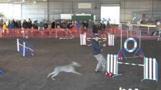 20120107-lily-std.m2t