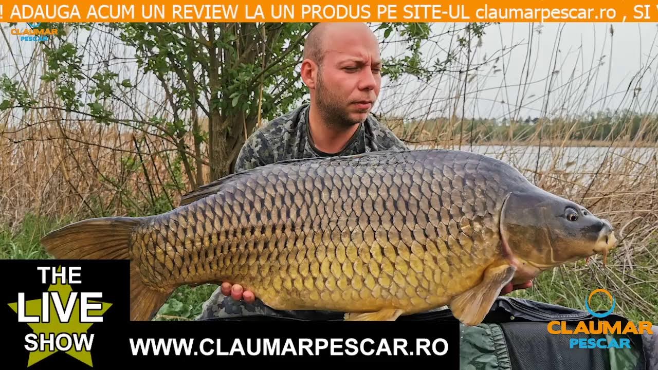 Fire monofilament pentru pescuitul crapului