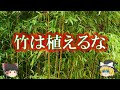 竹を庭に植えてはいけない理由【ゆっくり解説】