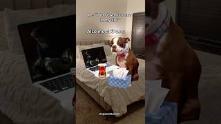 “I don’t want drama in my life” 😂#turkish #fyp #meme #turkishseries #muhtesemyuzyil