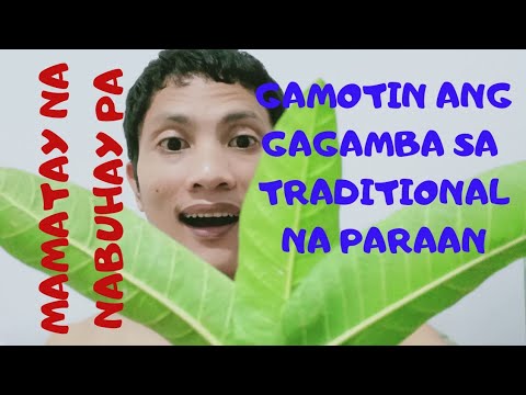 Video: Paano Gumawa ng Lemon Oil: 14 Mga Hakbang (na may Mga Larawan)