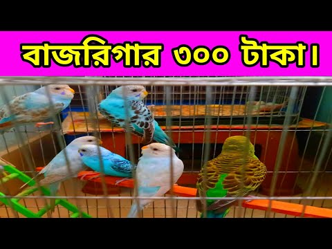 ভিডিও: ব্যবসায়িক ঋণ: বৈশিষ্ট্য, নথি এবং সুপারিশ