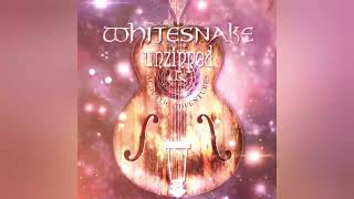 Whitesnake  All I Want All I Need starkers In New York  April 10 2008