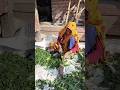 ब्लॉग लाइफ इंडिया, 😱 भैंस का चारा कैसे काटते हैं।। #short videos, यूपी उत्तर प्रदेश