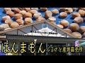 梅干買うならココよ！みなべ町のほんまもんふるさと産地直売所 【 Travel Japan うろうろ和歌山 】