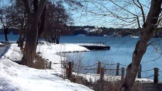 Elfvikspromenad20100316:3