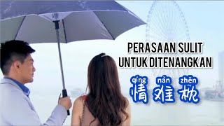 Qing Nan Zhen  情难枕 - Leng Feng (冷风) - Lagu Mandarin Subtitle Indonesia - Pinyin