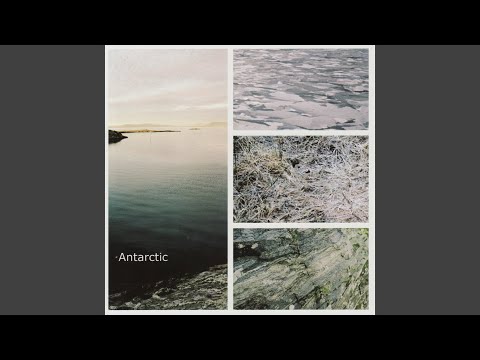 Antarctic — Arrowhead Wounds
