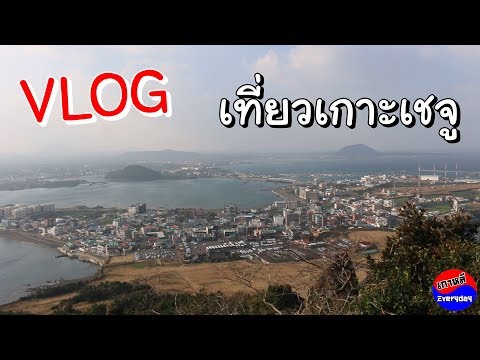 Vlog เกาหลี เที่ยวเกาะเชจู | เกาหลี Everyday | 까우리 에브리데이