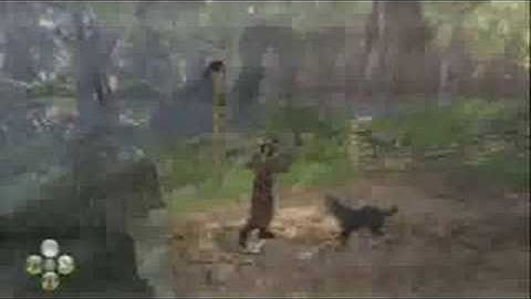 Fable 2: E3 08 Multiplayer gameplay