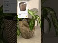 My IKEA must-have decor