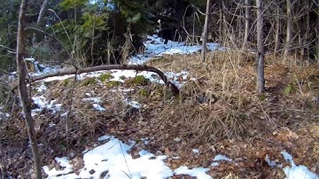 GitUp Git2-Test video of outdoor camera  in full HD (30 fps)