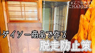 【猫の脱走防止策DIY】ほぼダイソー商品で出来る簡単な作り方をご紹介♪小さな室内運動場も作りました