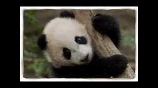 P.O.E.M House Music dugem remix