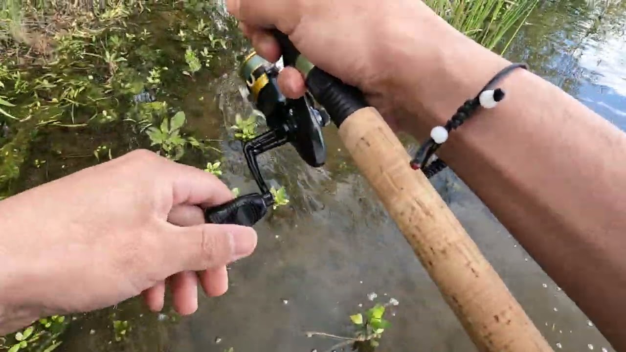 Bass fishing