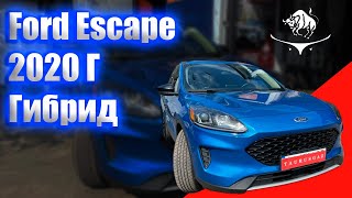видео: ГБО на гибрид. Ford Escape 2020г картинка: ГБО на гибрид. Ford Escape 2020г