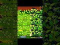 King Torchwood Secret Trick In Pvz Fusion 🔥 #pvz #pvzchallenge #plantsvszombies