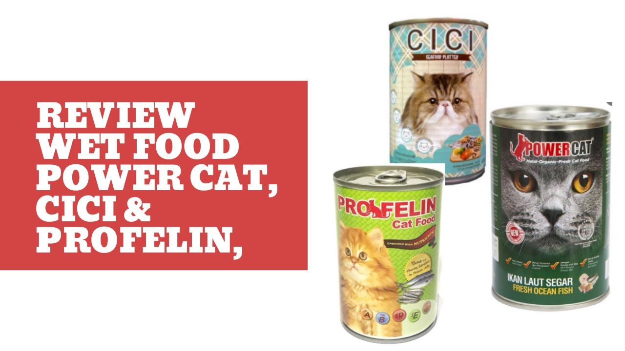 Review Wet Food Merek Power Cat, Cici dan Profelin YouTube