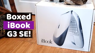 Apple's Final iBook G3 Clamshell: the 466 Special Edition. Picked up with original box!
