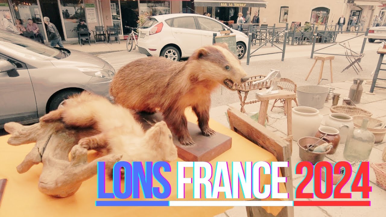 Rencontre d'échange LONS-LE-SAUNIER 01/06/2024 БЛОШИНЫЙ РЫНОК ГОРОД ЛОН-ЛЕ-СОНЬЕ ФРАНЦИЯ