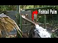 NEW WATER SYSTEM: guide water by Fishtail Palm | Primitive Skills - Ep.138