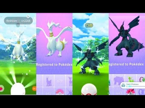 ZEKROM * in Pokémon GO + NEW Events and Shinies! 