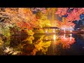 【京都】紅葉の大本神苑 ライトアップ