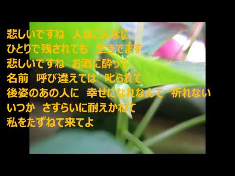ほうせんか　カラオケ　　【中島みゆき】