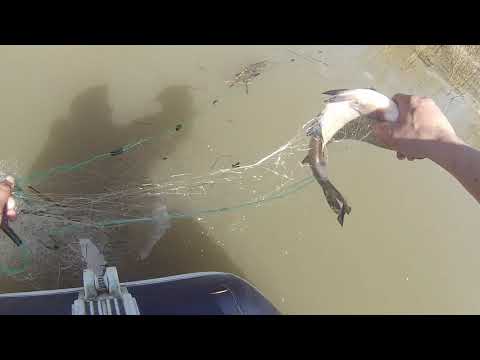 Видео: Рыбалка Сети Первая вода