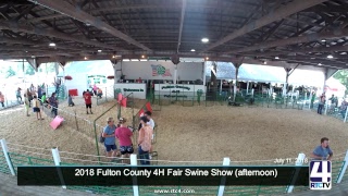 Fulton County 4H Fair Swine Show Part 2
