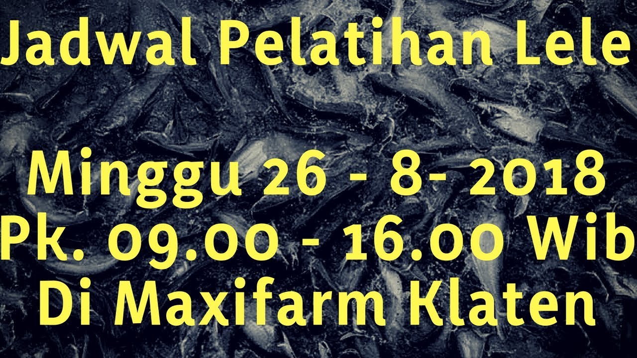 pelatihan budidaya lele sistem bioflok 2018 di solo 085782378684 