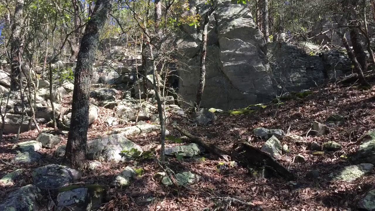 Cheaha Wilderness