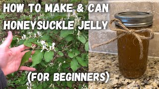 How to Make & Can Honeysuckle Jelly (THE EASY WAY)