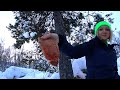 Solo Winter Bushcraft Trip - Outdoor Cooking | Pork Steak with Mushrooms